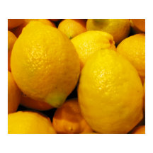 Lemones frescos 24"x20" Poster