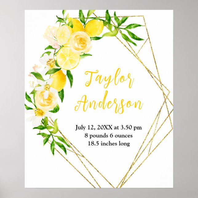 Póster Lemones y follaje Estadísticas de natalidad para b (Frente)