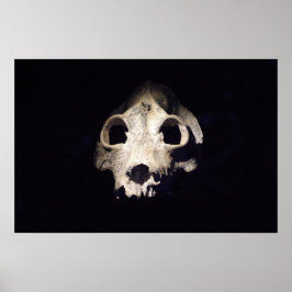 Póster Lémur gigante