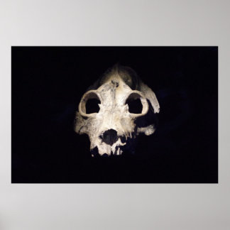 Póster Lémur gigante