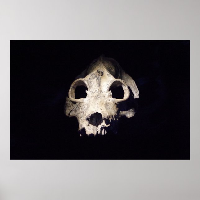 Póster Lémur gigante (Frente)