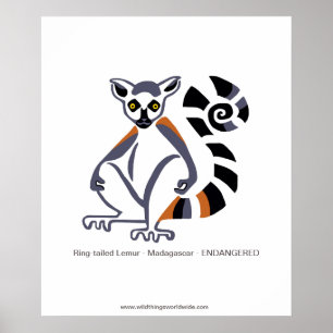 Póster Lemur - poster