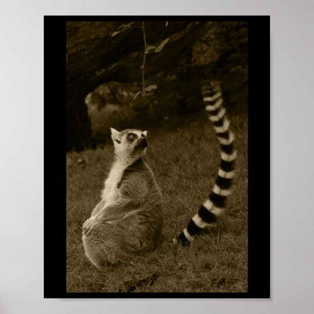 Póster Lemur Tail Valencia Tint Vertical Pegatina (Frente)