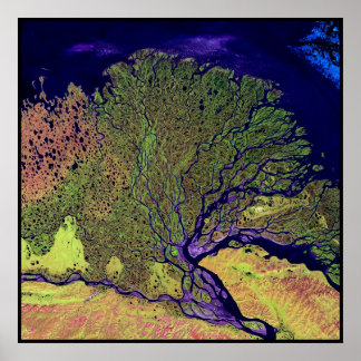 Póster Lena Delta Russia