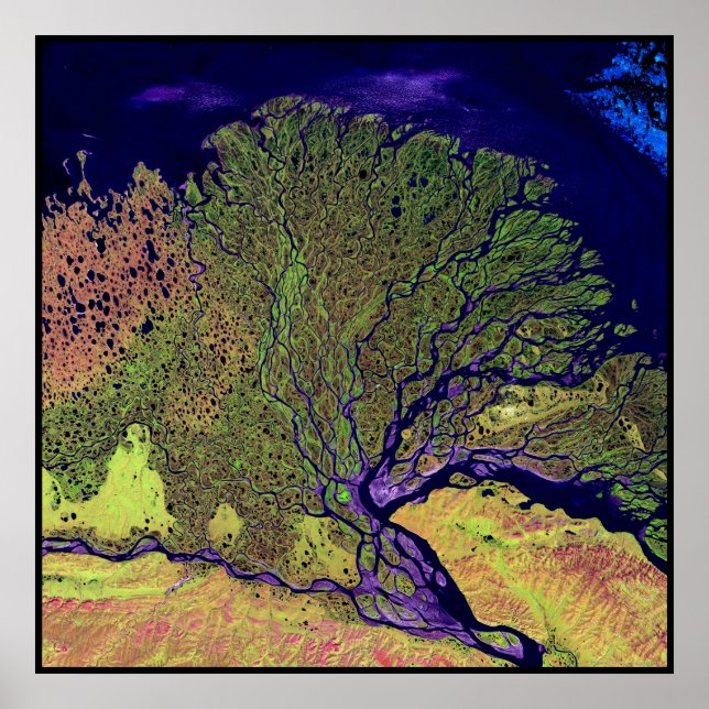 Póster Lena Delta Russia (Frente)