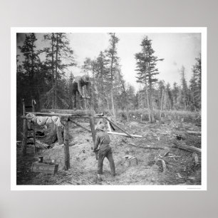 Póster Leñadores en Alaska 1916