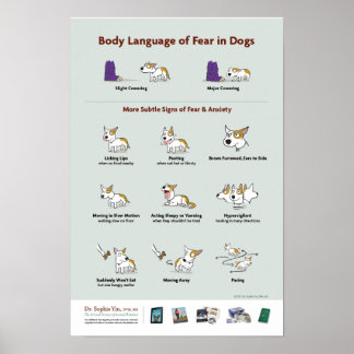 Póster Lenguaje corporal del miedo en perros