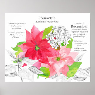 Póster Lenguaje de las Flores de Cumpleaños de Diciembre