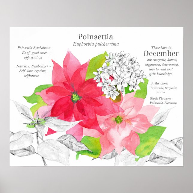 Póster Lenguaje de las Flores de Cumpleaños de Diciembre (Frente)