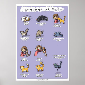 Póster lenguaje de los gatos