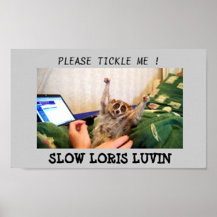 Póster Lento Loris Luvin