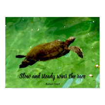 Lento y firme gana la carrera