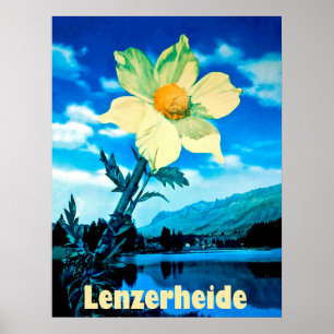 Póster Lenzerheide, Suiza, flor de verano en el lago
