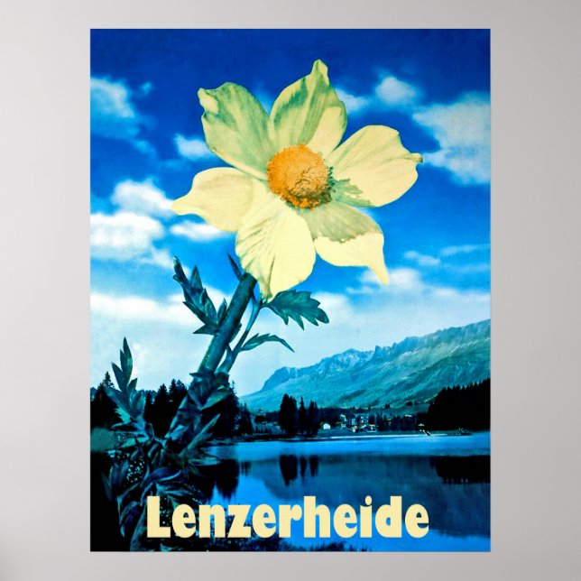 Póster Lenzerheide, Suiza, flor de verano en el lago (Frente)