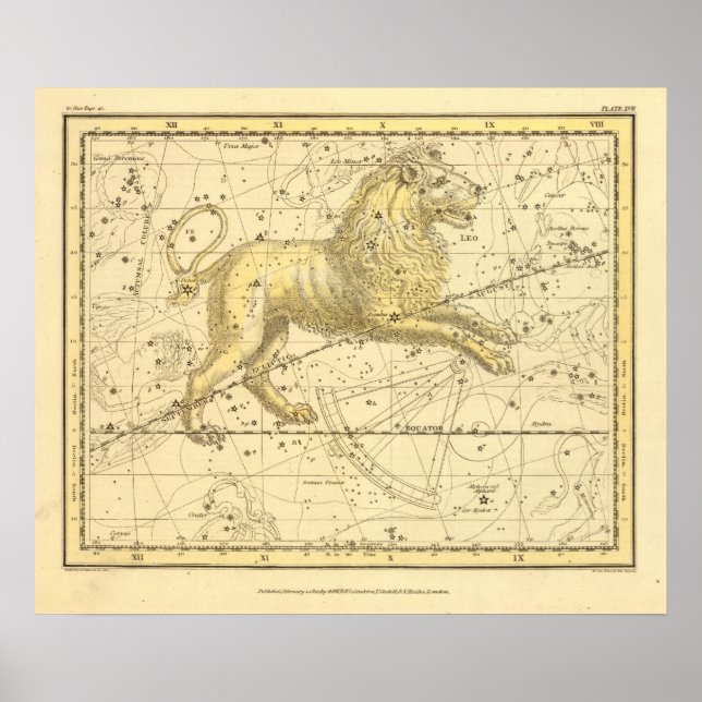 Póster Leo (Frente)