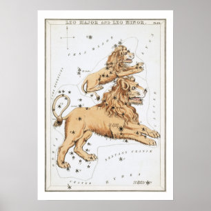 Póster Leo Astrology Zodiac