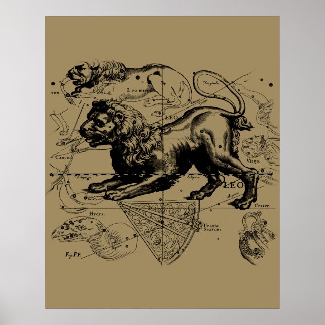 Póster Leo Constellation Hevelius 1690 Julio23 - Agosto 2 (Frente)
