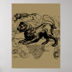 Póster Leo Constellation Map Hevelius 1690 en Taupe