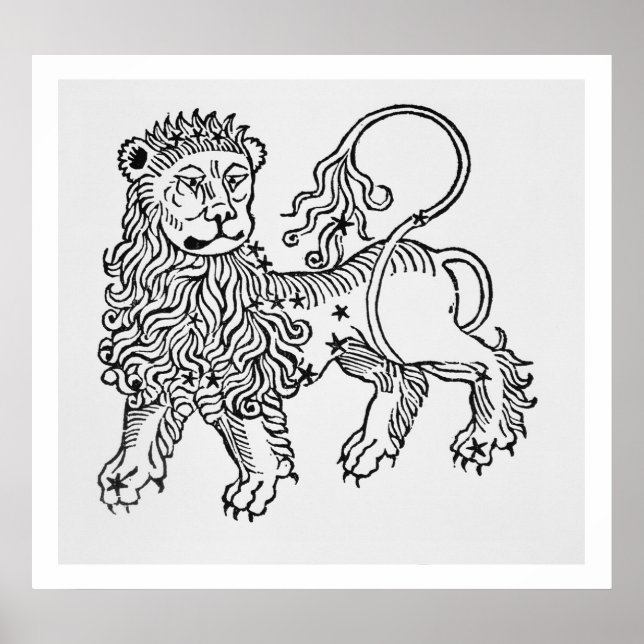 Póster Leo (el León) un ilustracion del Poeticón (Frente)
