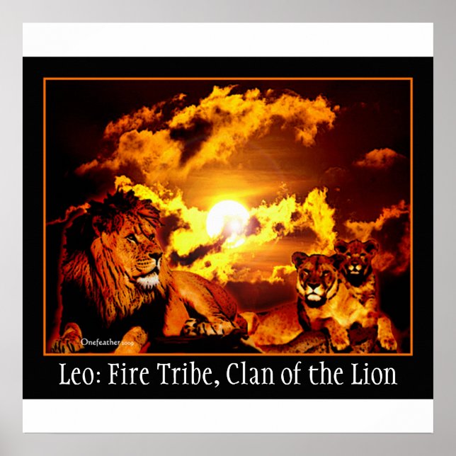 Póster Leo poster (Frente)