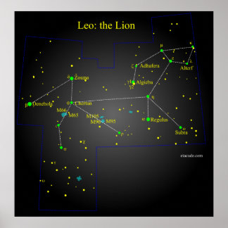 Póster Leo The Lion Constellation