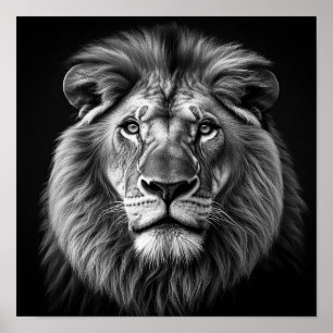 Póster León