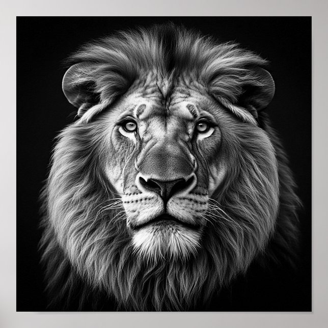 Póster León (Frente)