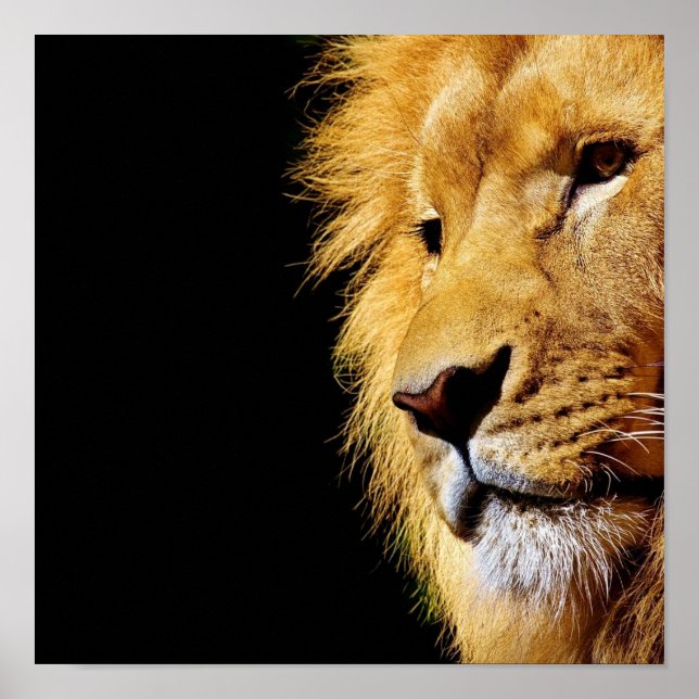 Póster León (Frente)