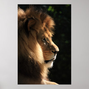 Póster León