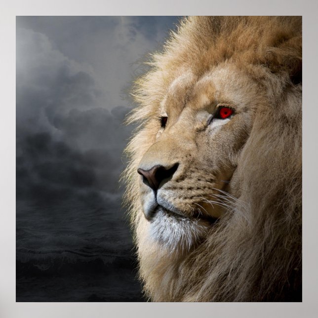 Póster León (Frente)