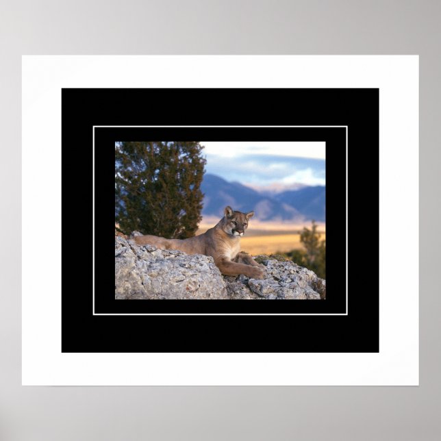 Póster León de poster-montaña (Frente)