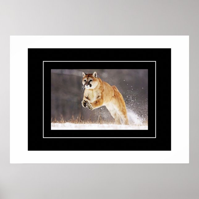 Póster León de poster-montaña (Frente)