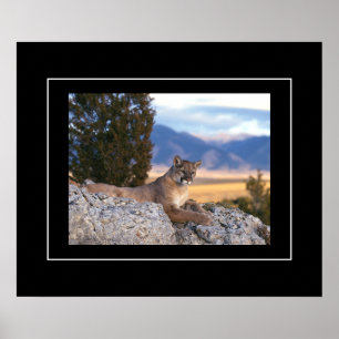 Póster León de poster-montaña