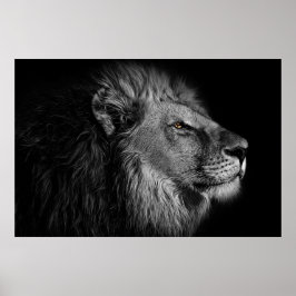 Póster León en blanco y negro