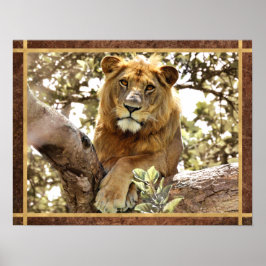 Póster León en una foto de árbol