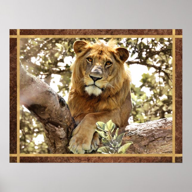 Póster León en una foto de árbol (Frente)