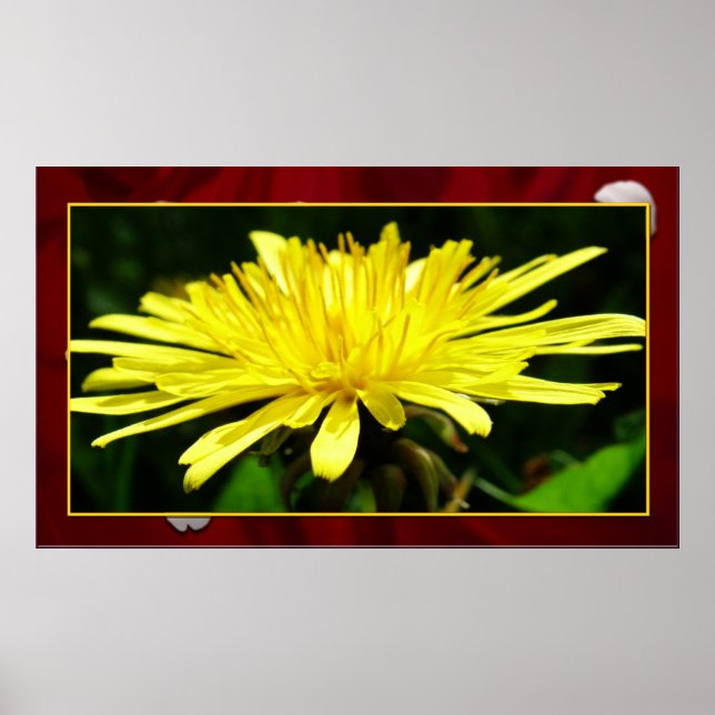 Póster León enmarcado, plantilla (Frente)