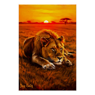 Póster León Macho Descansando en la Sabanas Doradas
