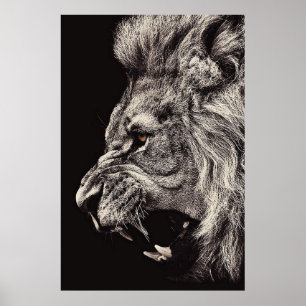 Póster León macho enojado