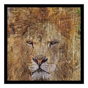 Póster León majestuoso de la fauna salvaje africana de sa