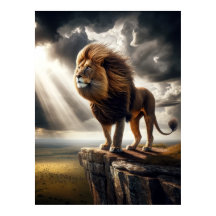 León majestuoso en el acantilado - Vida silvestre