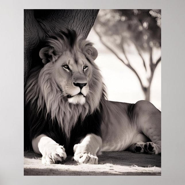 Póster León mallístico africano negro y blanco (Frente)