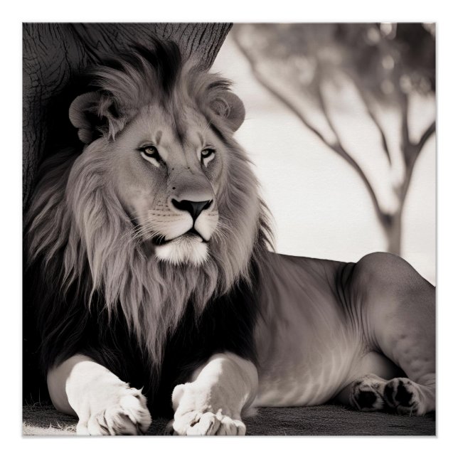 Póster León mallístico africano negro y blanco (Anverso)