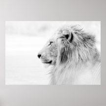 LEÓN MASCULINO - BLANCO Y NEGRO