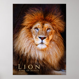 Póster León [Poster]