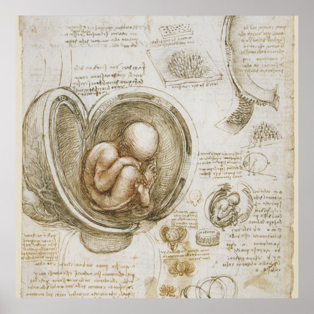 Póster Leonardo da Vinci (Frente)