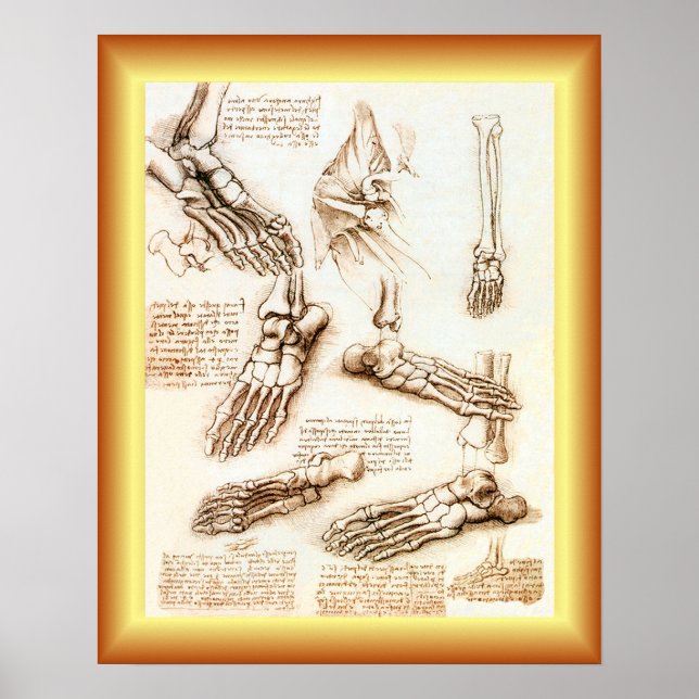 Póster Leonardo da Vinci ~ Anatomía de pies ~ (Frente)