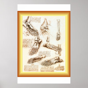 Póster Leonardo da Vinci ~ Anatomía de pies ~ 40 X 60 GRA