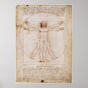 Póster Leonardo da Vinci Vitruvian Man Poster