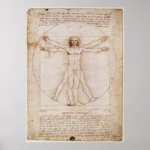 Póster Leonardo da Vinci Vitruvian Man Poster